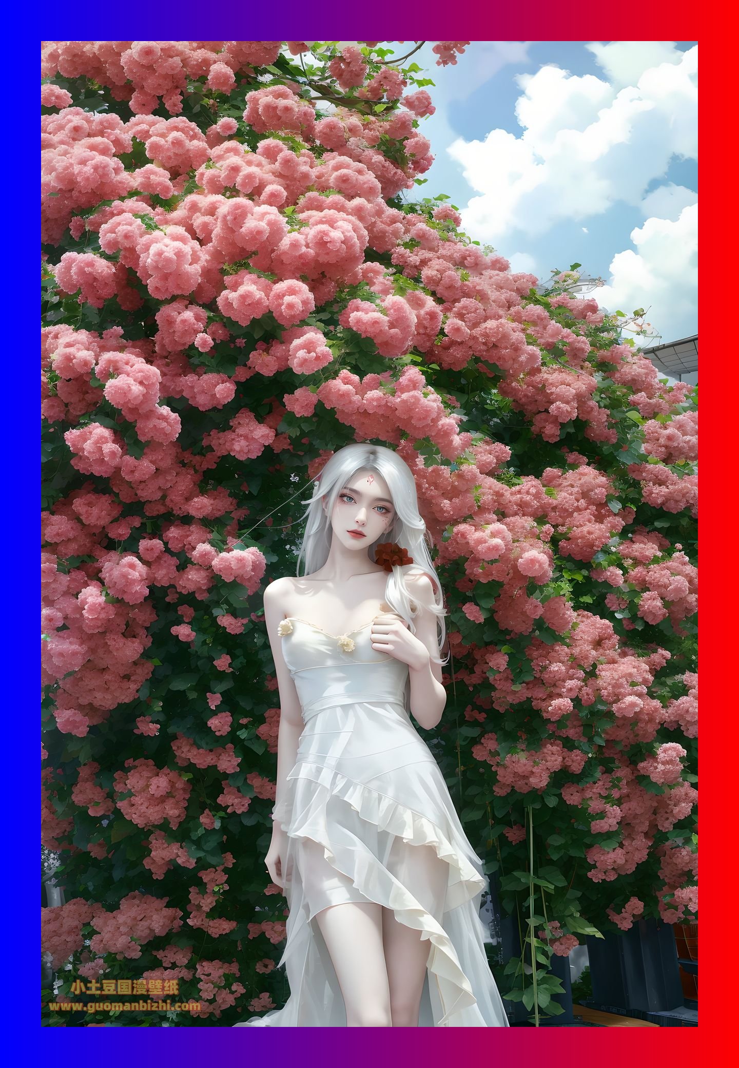 精美的ai桌面诛仙小白高清6k整理合集